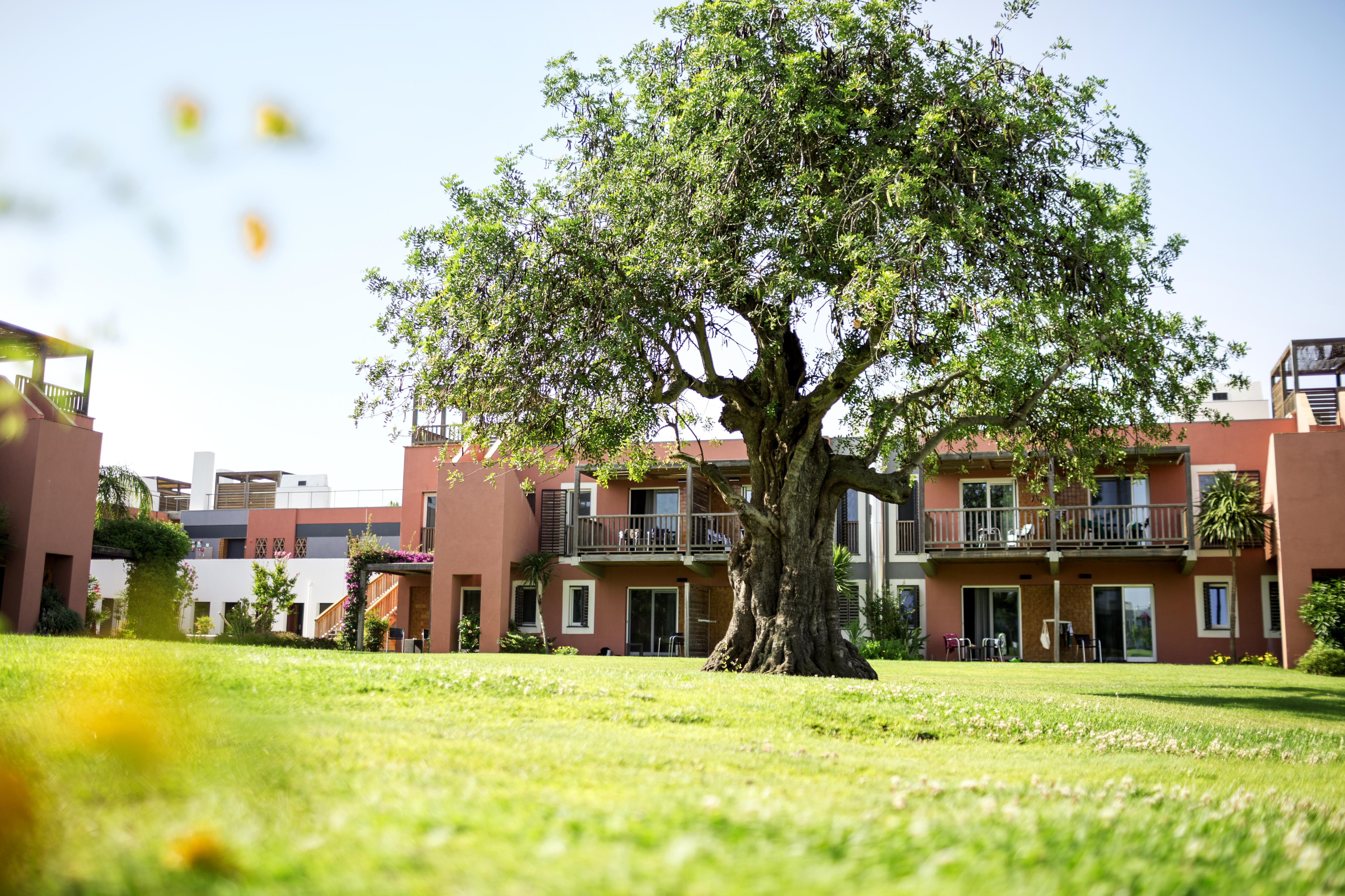 Robinson Quinta Da Ria Hotel Vila Nova de Cacela Eksteriør billede